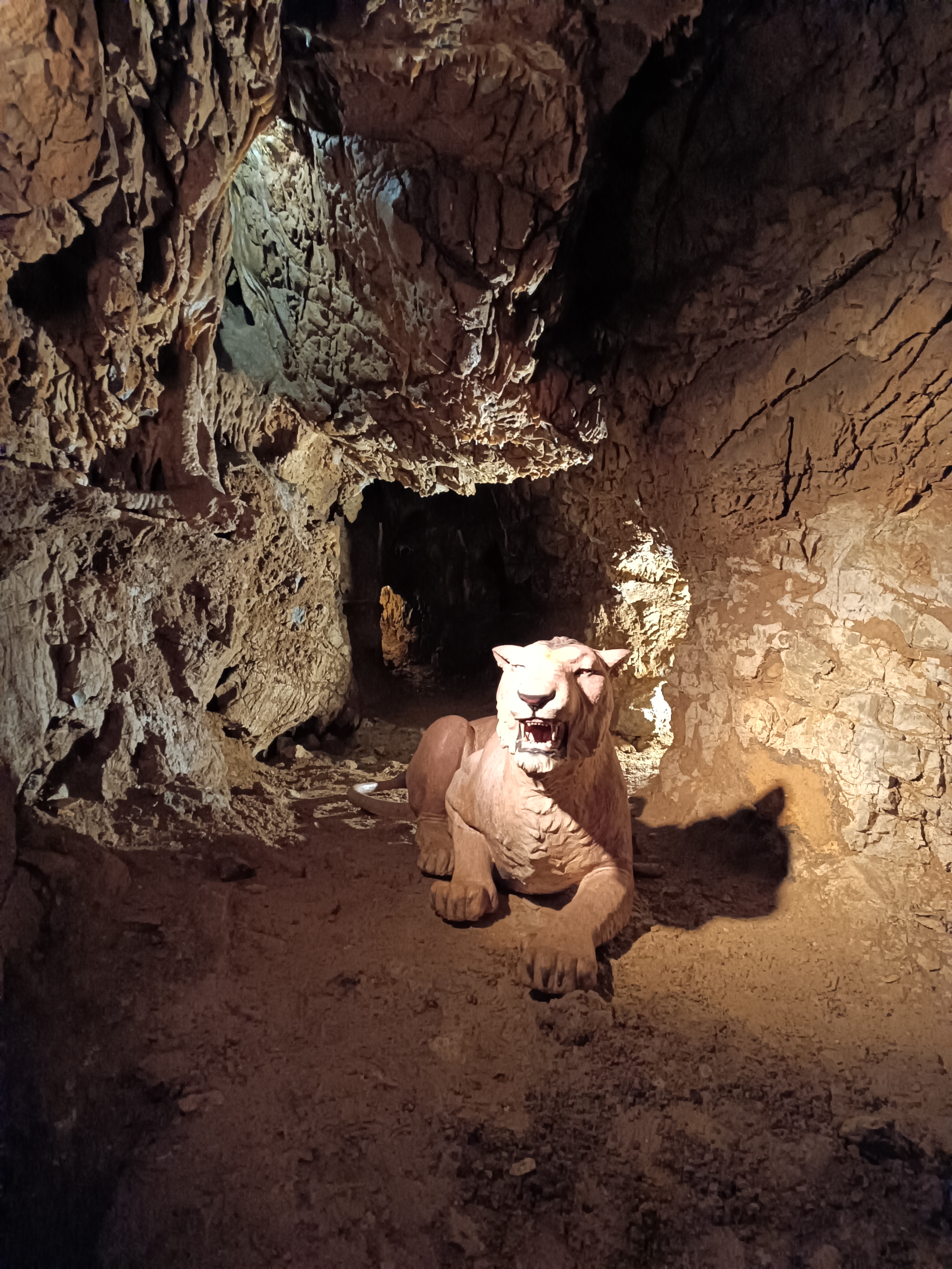 Jeskynní lev ve Výpustku