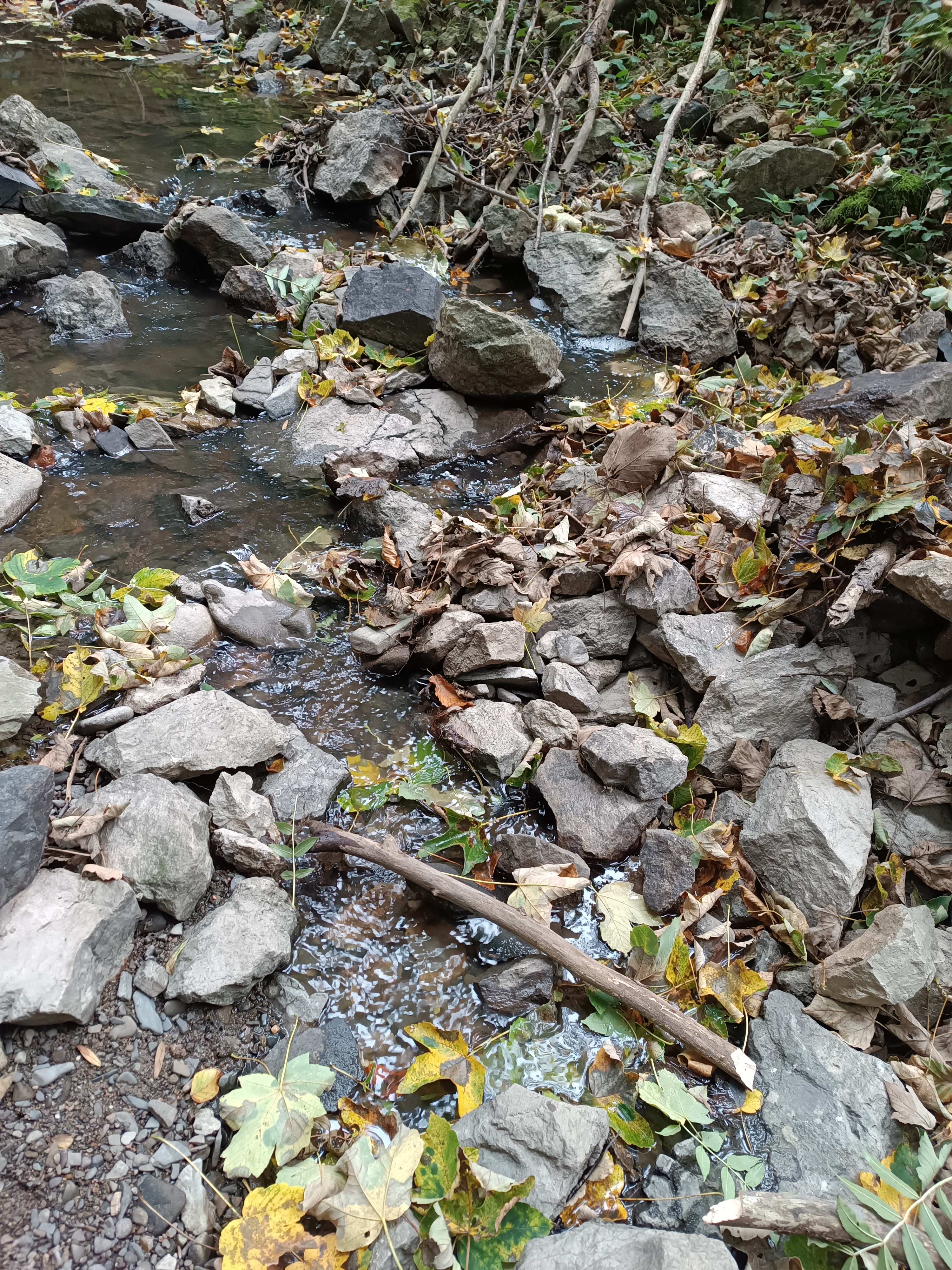 Křtinské propadání pod Výpustkem