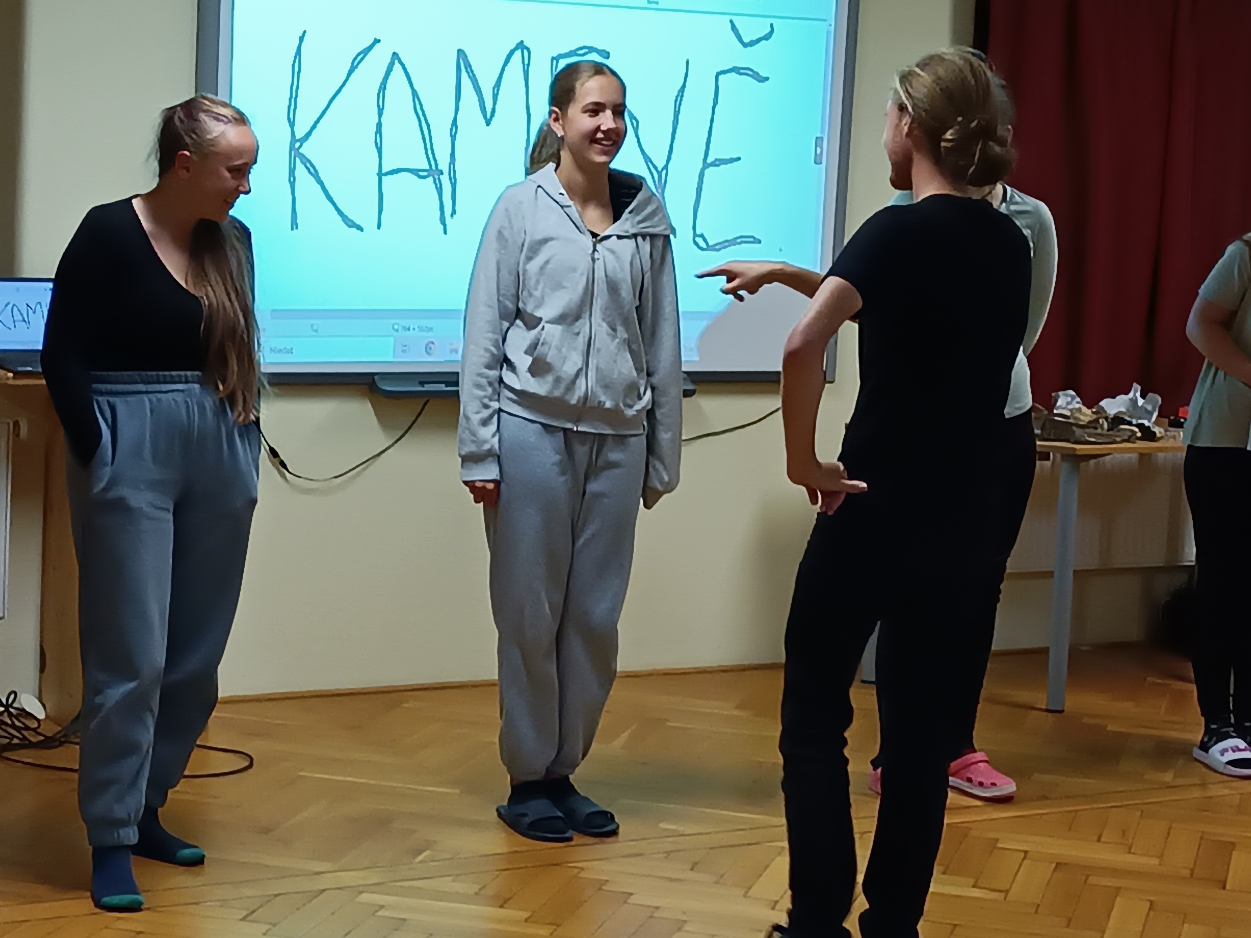 Drúzy, vltavíny a zkamenělá dřeva